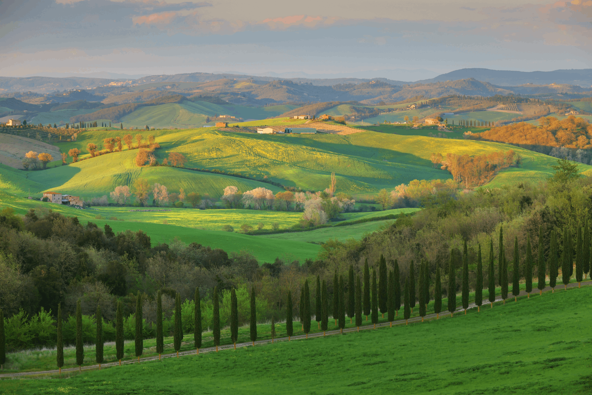 tuscany_shutterstock_forage_mandai rainforest resort_MRR.png